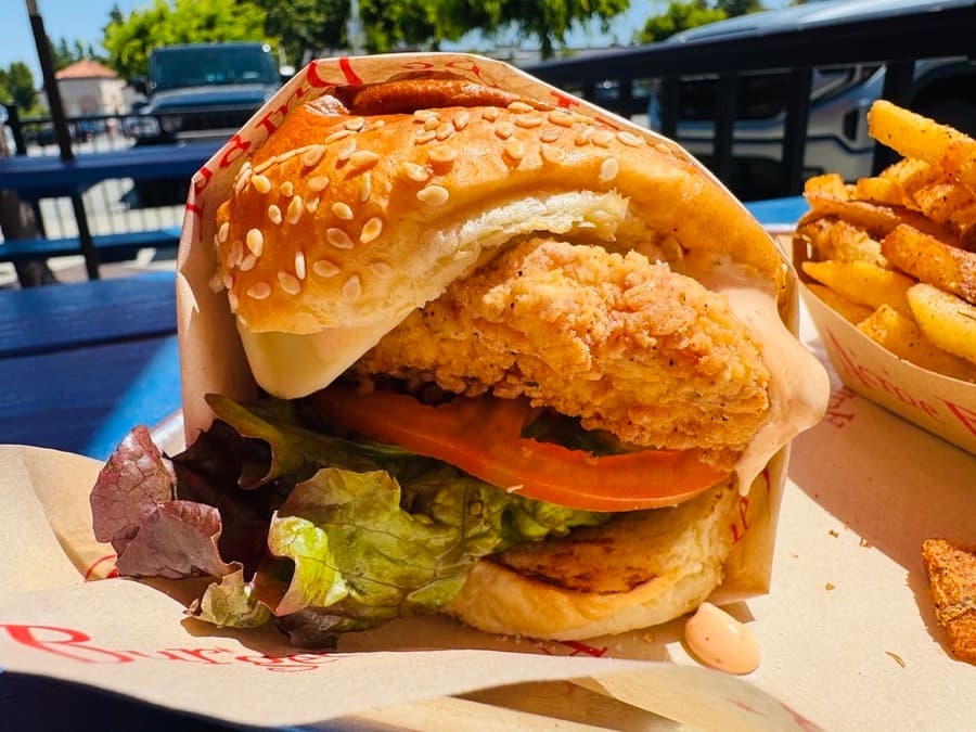 Crispy fried chicken burger